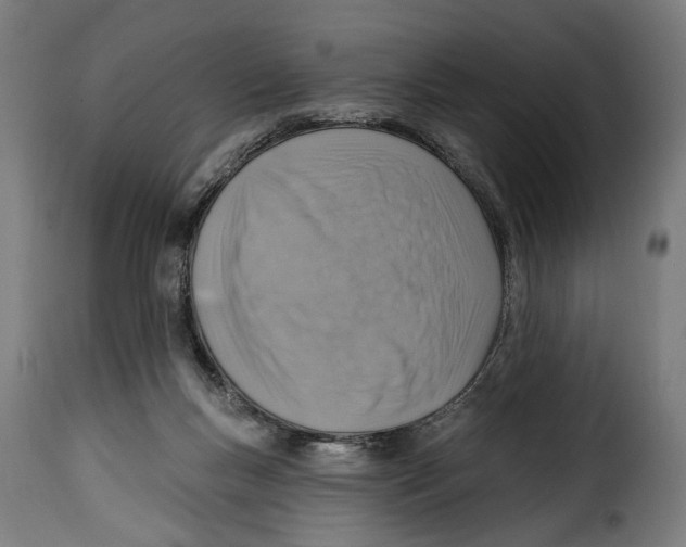 X0000115010167200911231235