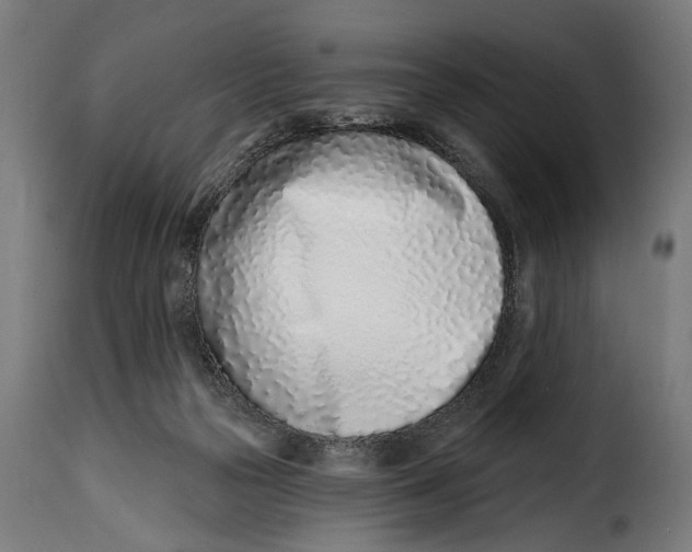 X0000115010169200911231235