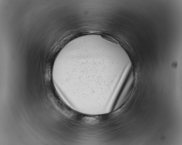 X0000115010170200911231235
