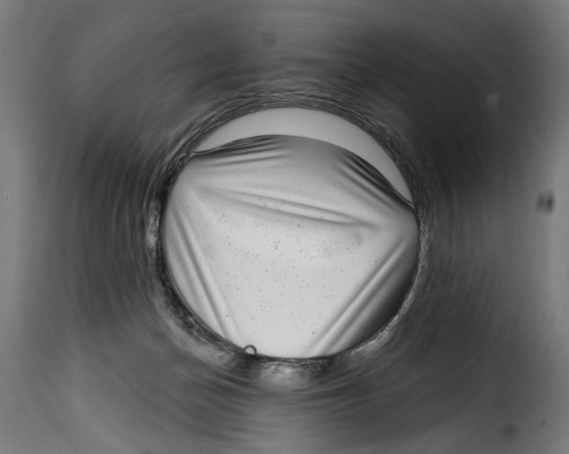 X0000115010174200911231235