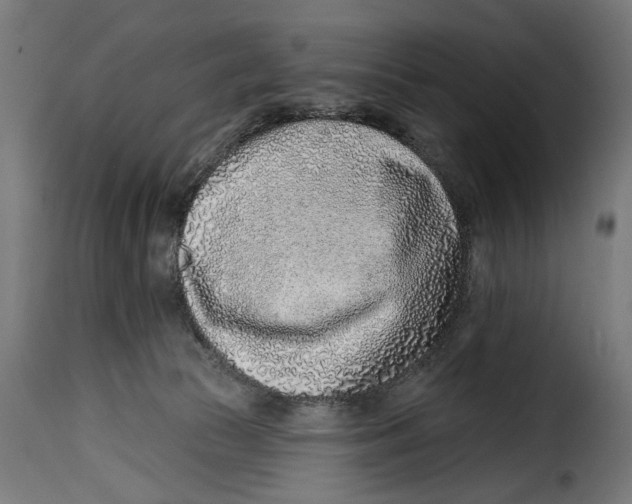 X0000115010177200911231235