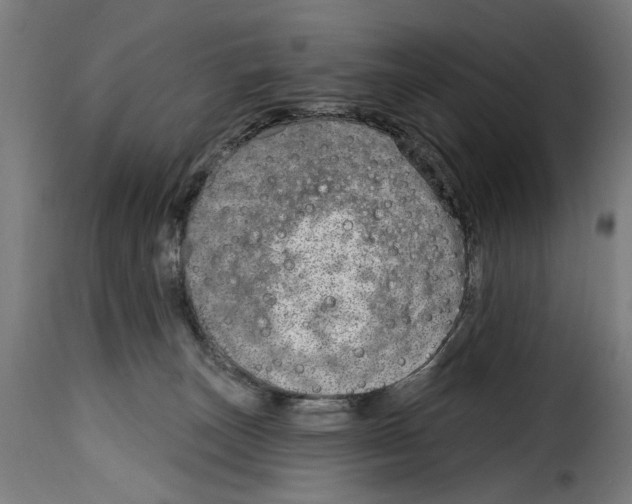 X0000115010179200911231235