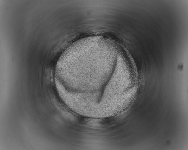 X0000115010182200911231235