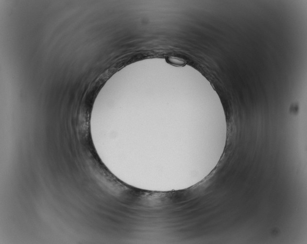 X0000115010186200911231235
