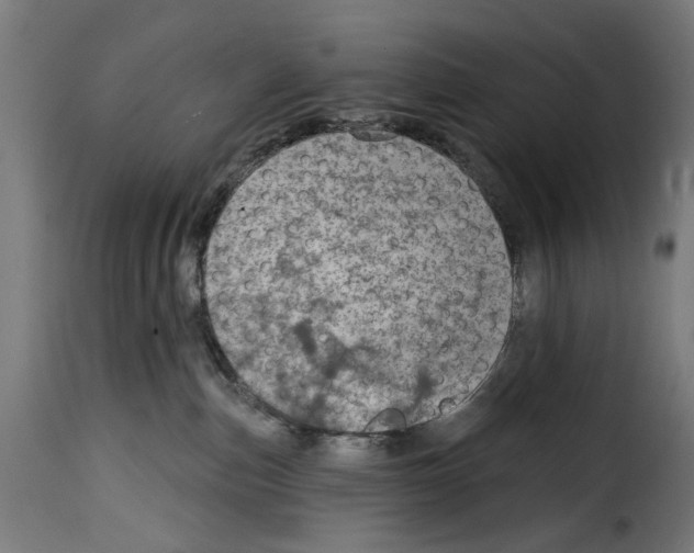 X0000115010187200911231235