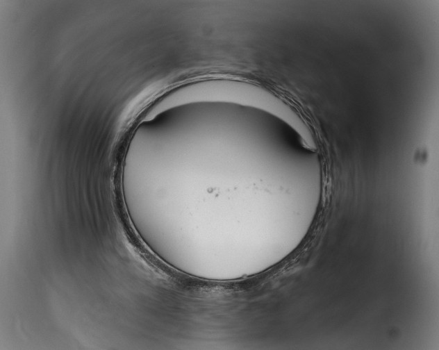 X0000115010197200911231234