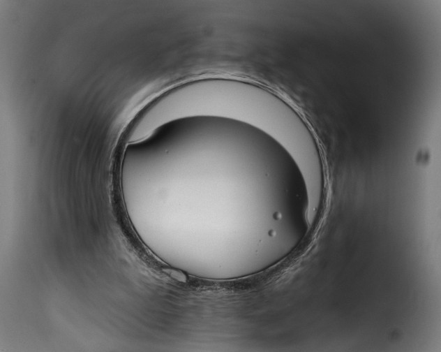 X0000115010199200911231234