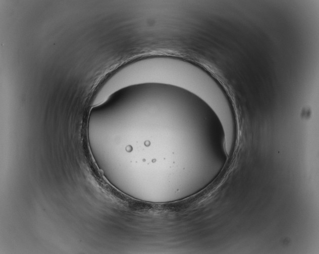 X0000115010201200911231234