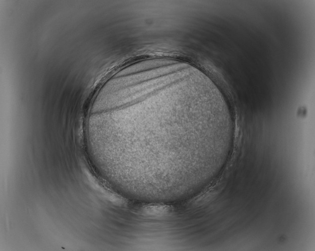 X0000115010202200911231234