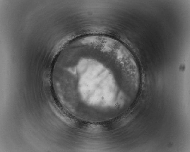 X0000115010203200911231234