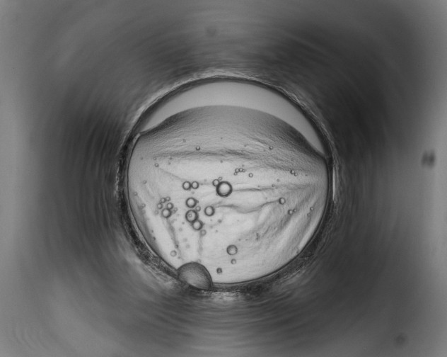 X0000115010204200911231234