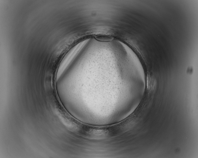 X0000115010205200911231234