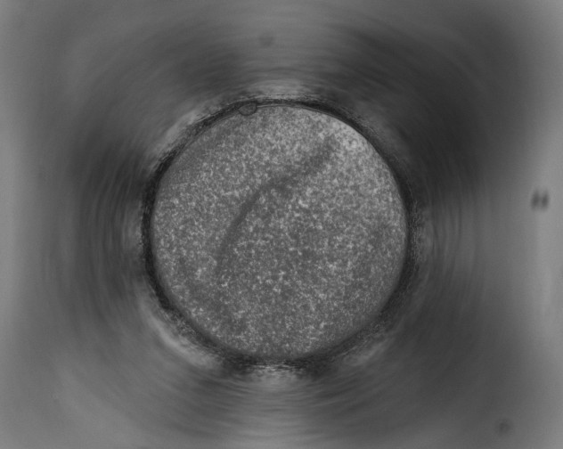 X0000115010207200911231234