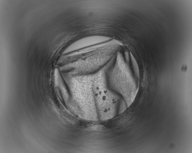 X0000115010210200911231234