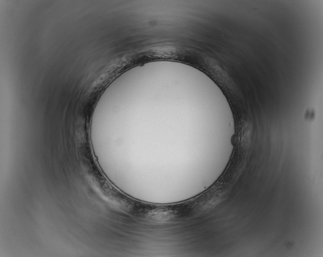 X0000115010213200911231234