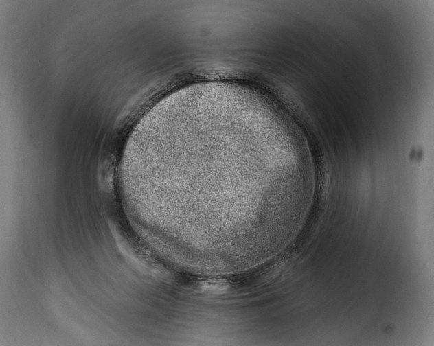 X0000115010214200911231234