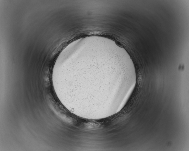 X0000115010215200911231234