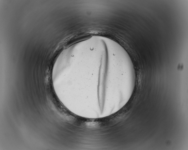 X0000115010216200911231234
