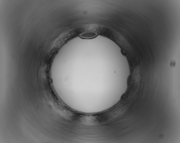 X0000115010217200911231234
