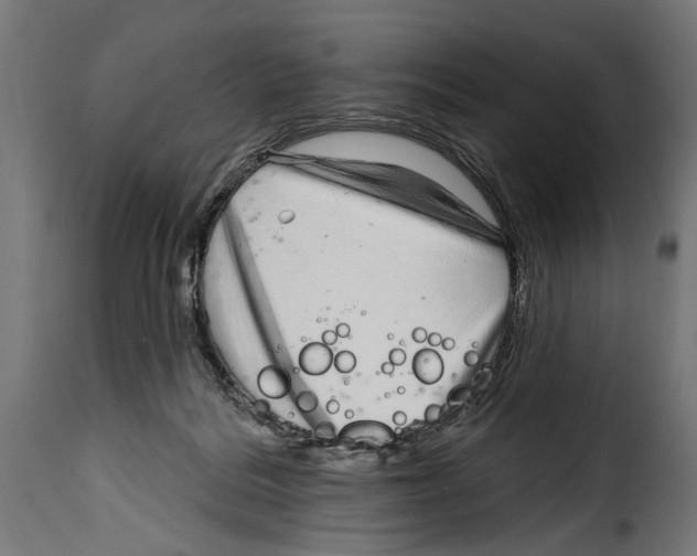 X0000115010220200911231234