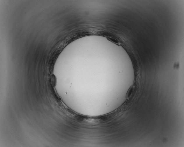 X0000115010221200911231234