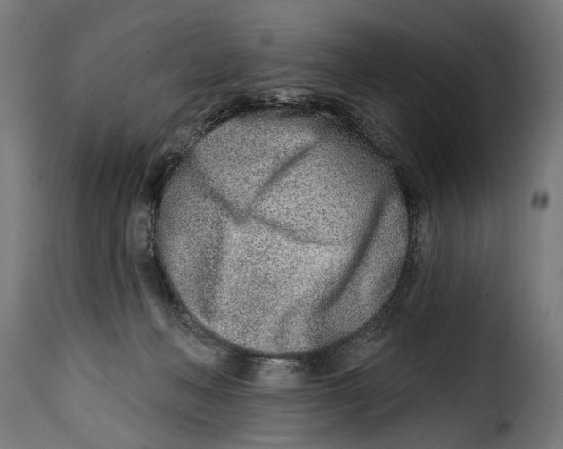 X0000115010222200911231234