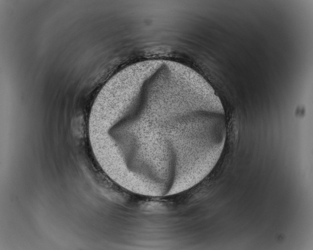 X0000115010224200911231234