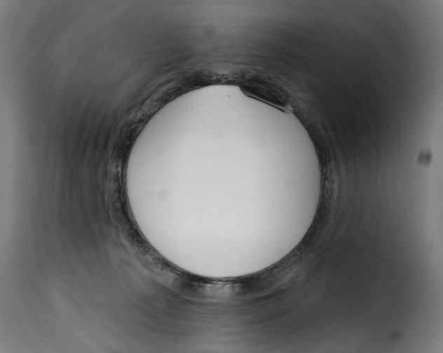 X0000115010225200911231234