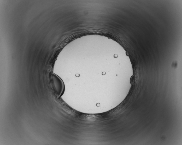 X0000115010229200911231234