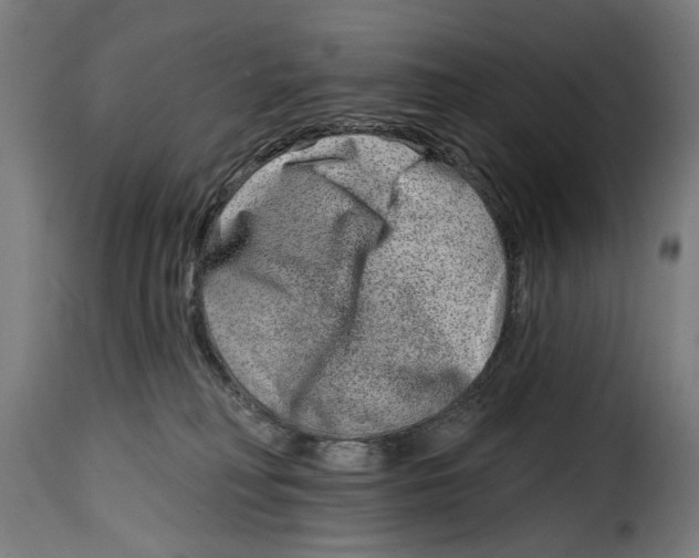 X0000115010230200911231234