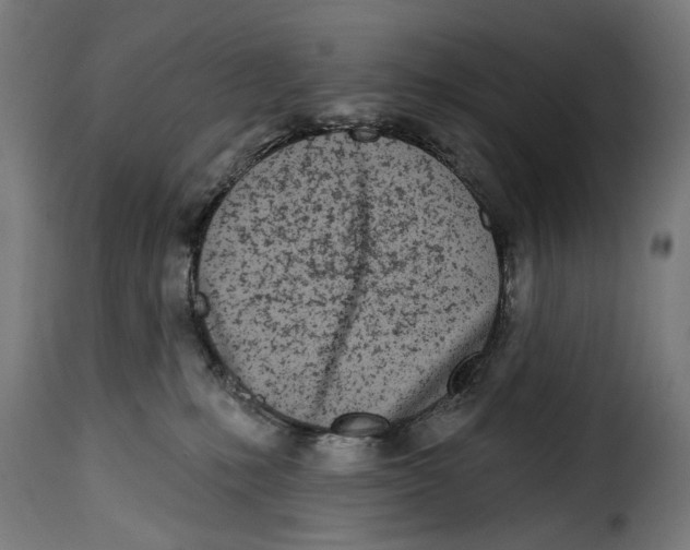 X0000115010231200911231234