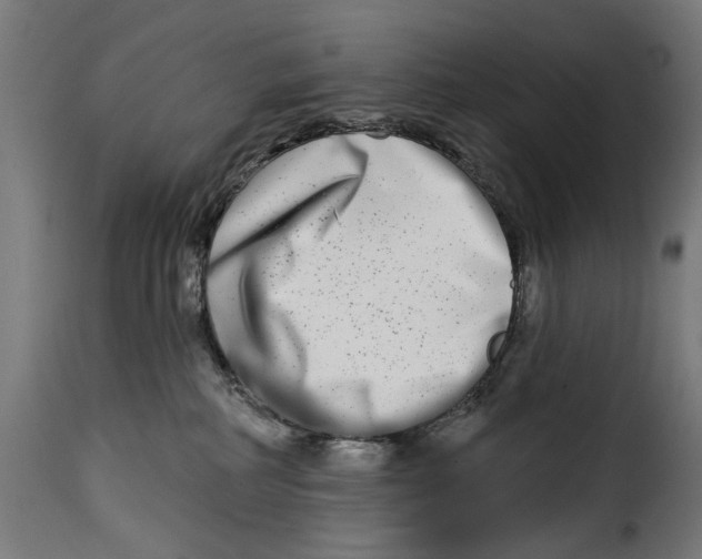 X0000115010234200911231234