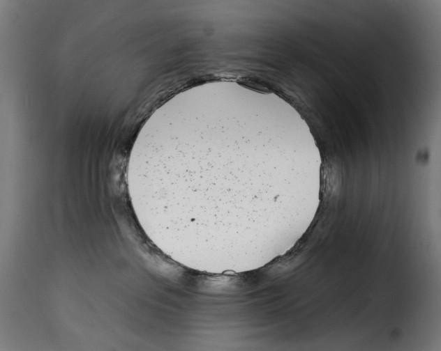 X0000115010237200911231234