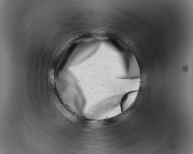 X0000115010238200911231234