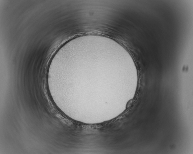 X0000115010241200911231233