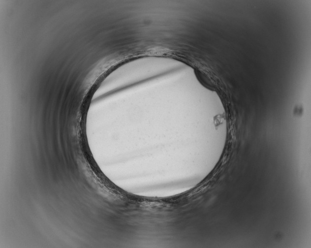 X0000115010242200911231233