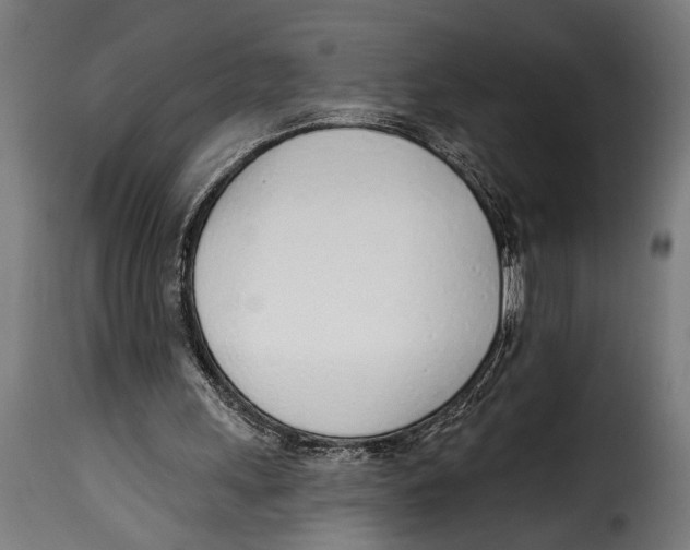 X0000115010243200911231233