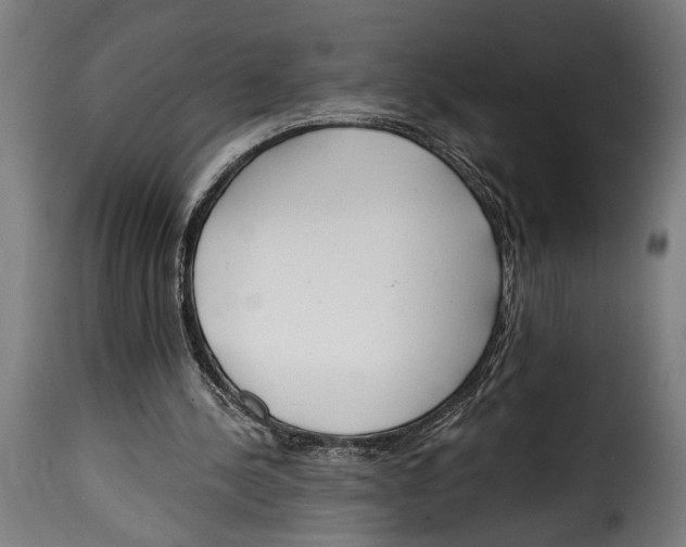 X0000115010244200911231233