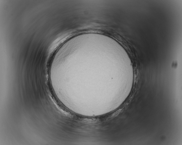 X0000115010245200911231233