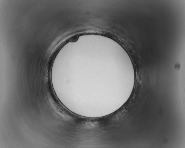X0000115010247200911231233