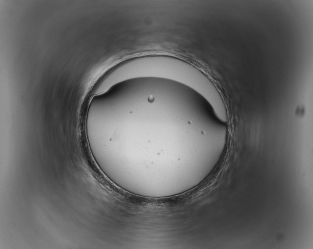 X0000115010248200911231233
