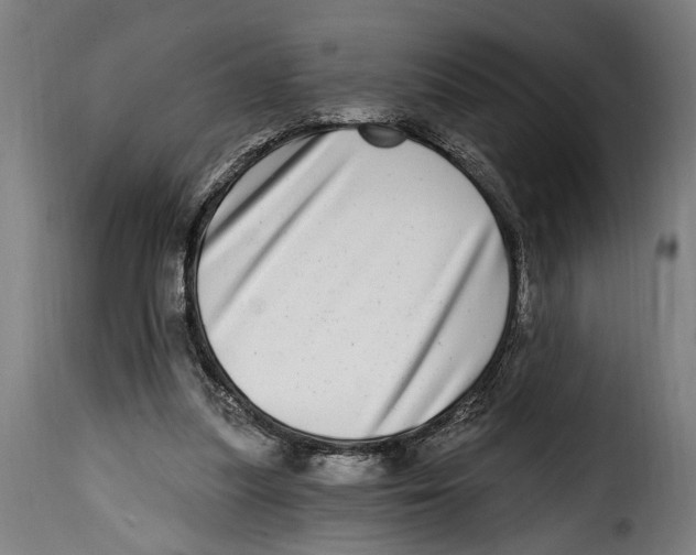 X0000115010251200911231233