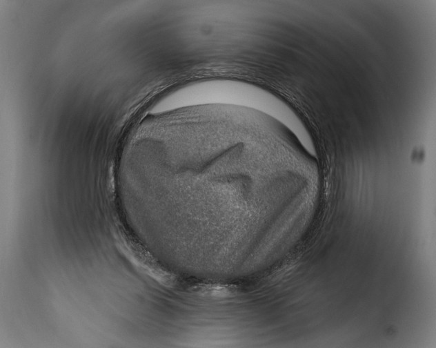 X0000115010254200911231233
