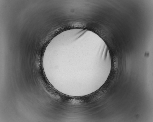 X0000115010255200911231233