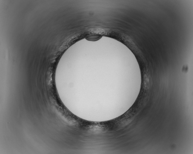 X0000115010259200911231233