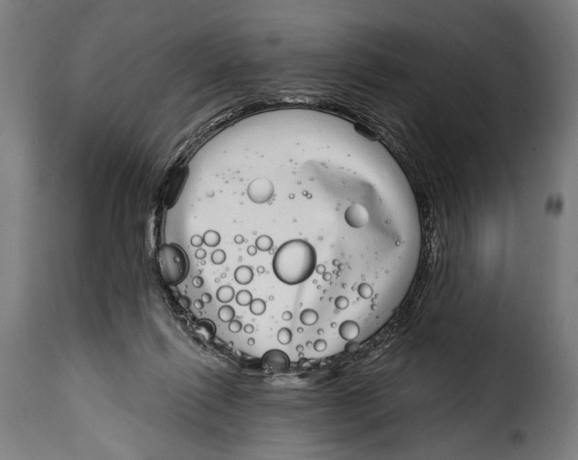 X0000115010262200911231233
