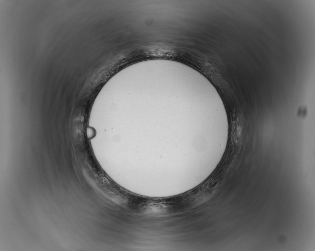 X0000115010263200911231233