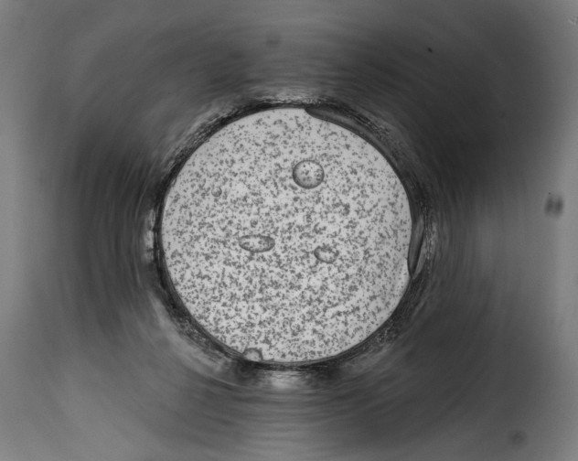 X0000115010264200911231233