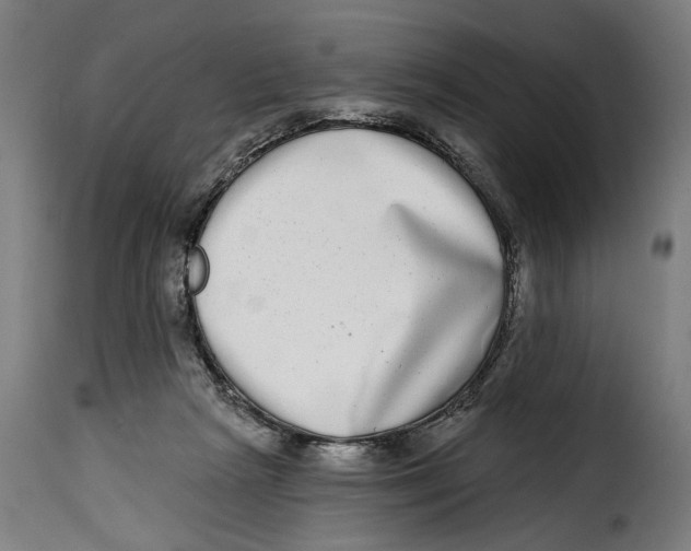 X0000115010265200911231233