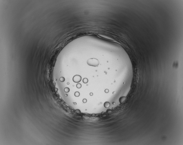 X0000115010266200911231233